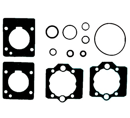 Juego de Juntas para Inyeccion electronica monopunto RENAULT R19